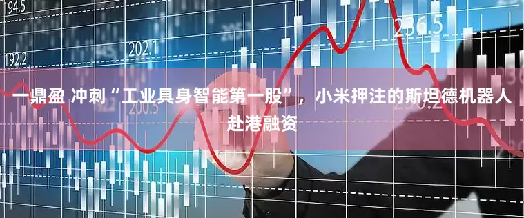 一鼎盈 冲刺“工业具身智能第一股”，小米押注的斯坦德机器人赴港融资