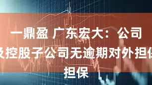 一鼎盈 广东宏大：公司及控股子公司无逾期对外担保
