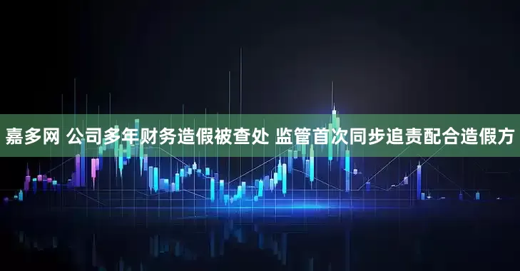 嘉多网 公司多年财务造假被查处 监管首次同步追责配合造假方