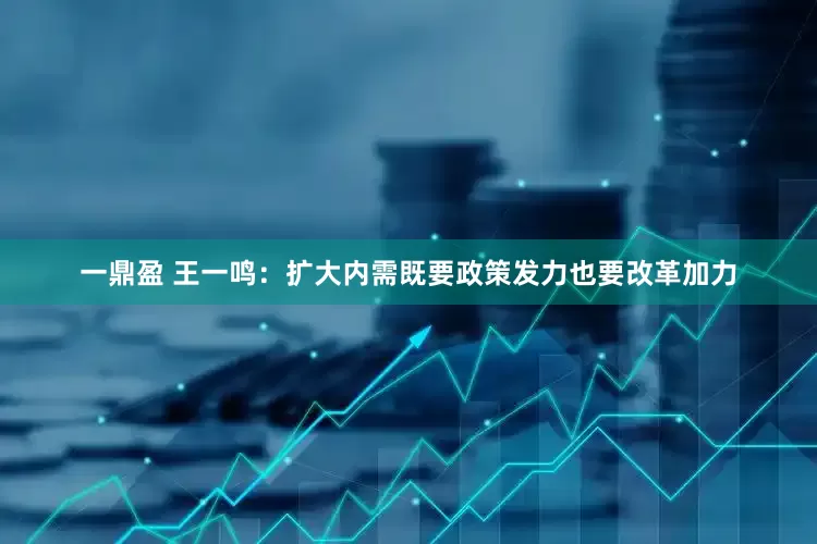 一鼎盈 王一鸣：扩大内需既要政策发力也要改革加力