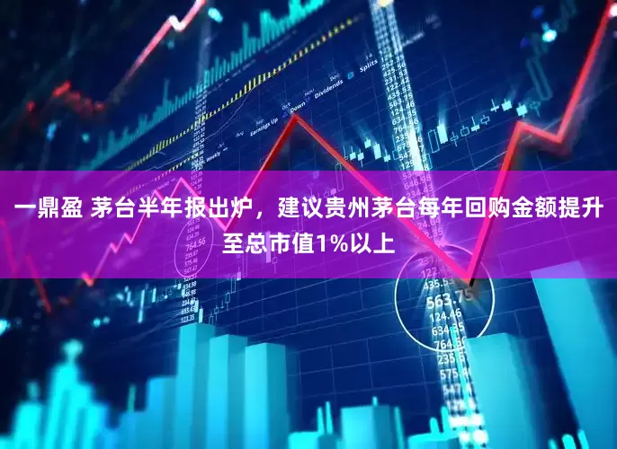 一鼎盈 茅台半年报出炉，建议贵州茅台每年回购金额提升至总市值1%以上