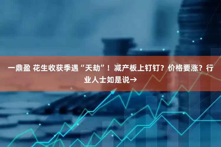 一鼎盈 花生收获季遇“天劫”！减产板上钉钉？价格要涨？行业人士如是说→