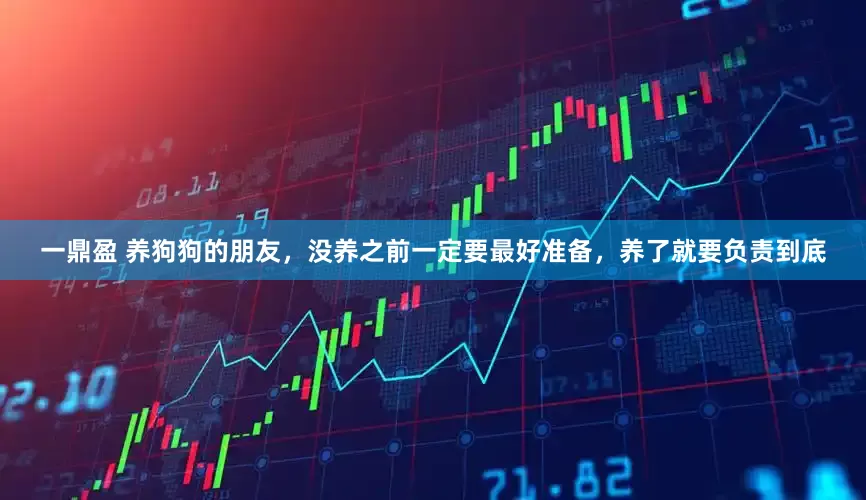 一鼎盈 养狗狗的朋友,没养之前一定要最好准备,养了就要负责到底