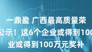 一鼎盈 广西最高质量荣誉奖名单公示！这6个企业或得到100万元奖补